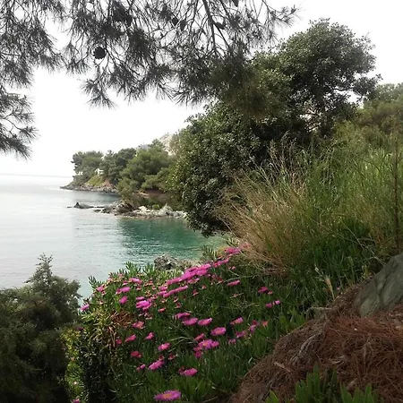 Family-friendly, 2-bedroom In Neos Marmaras With Balcony And Hotel